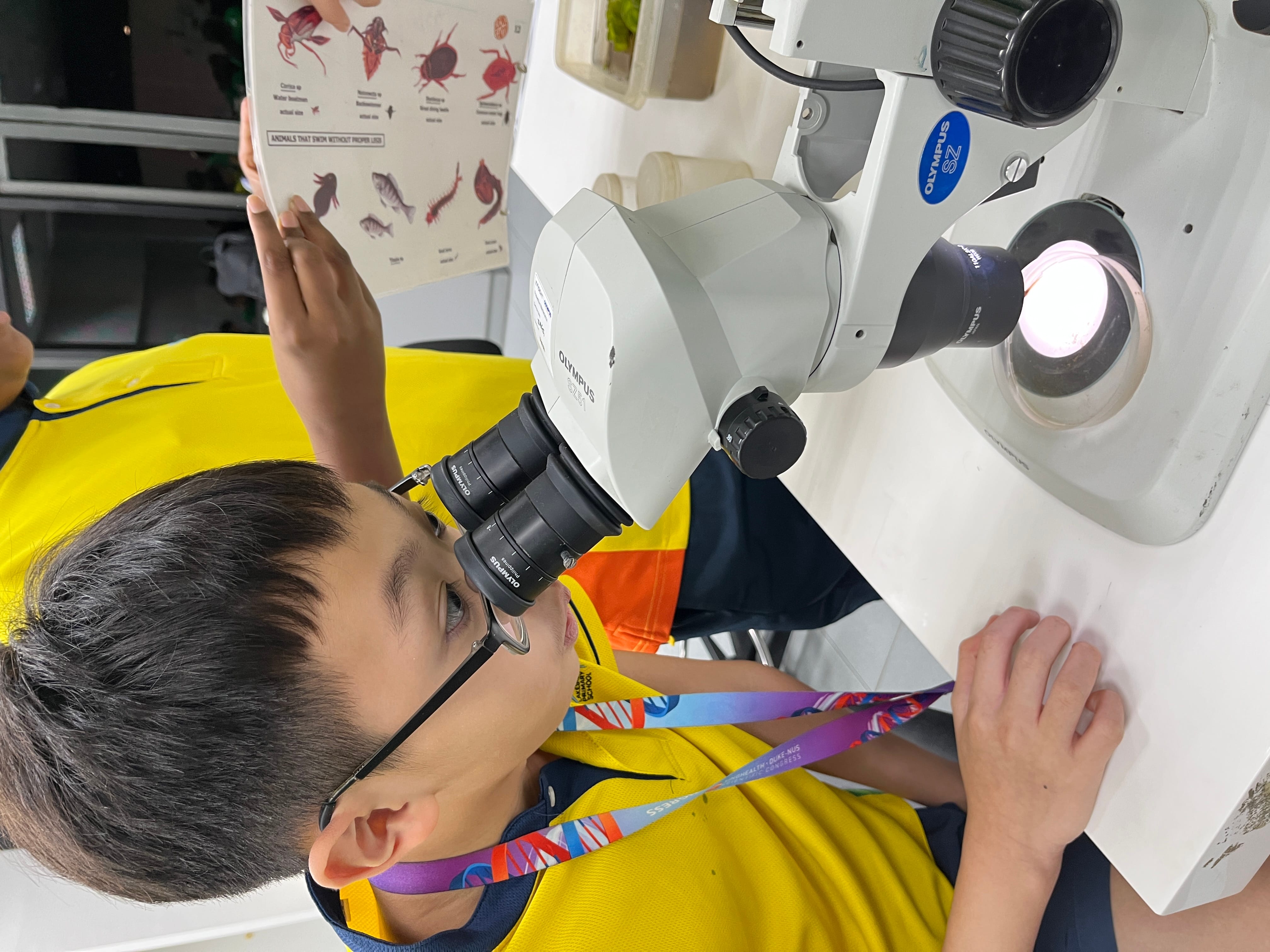 A student looks into a microscope on the right.